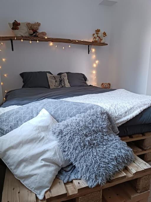 T2 Ultra Cosy En Hypercentre Διαμέρισμα Tarare Εξωτερικό φωτογραφία