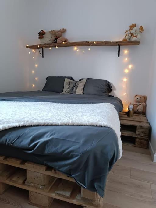 T2 Ultra Cosy En Hypercentre Διαμέρισμα Tarare Εξωτερικό φωτογραφία